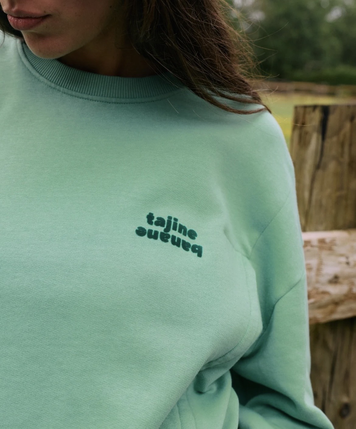 Grossesse et allaitement 2 Sweat PALLAITE Mint Vintage 3